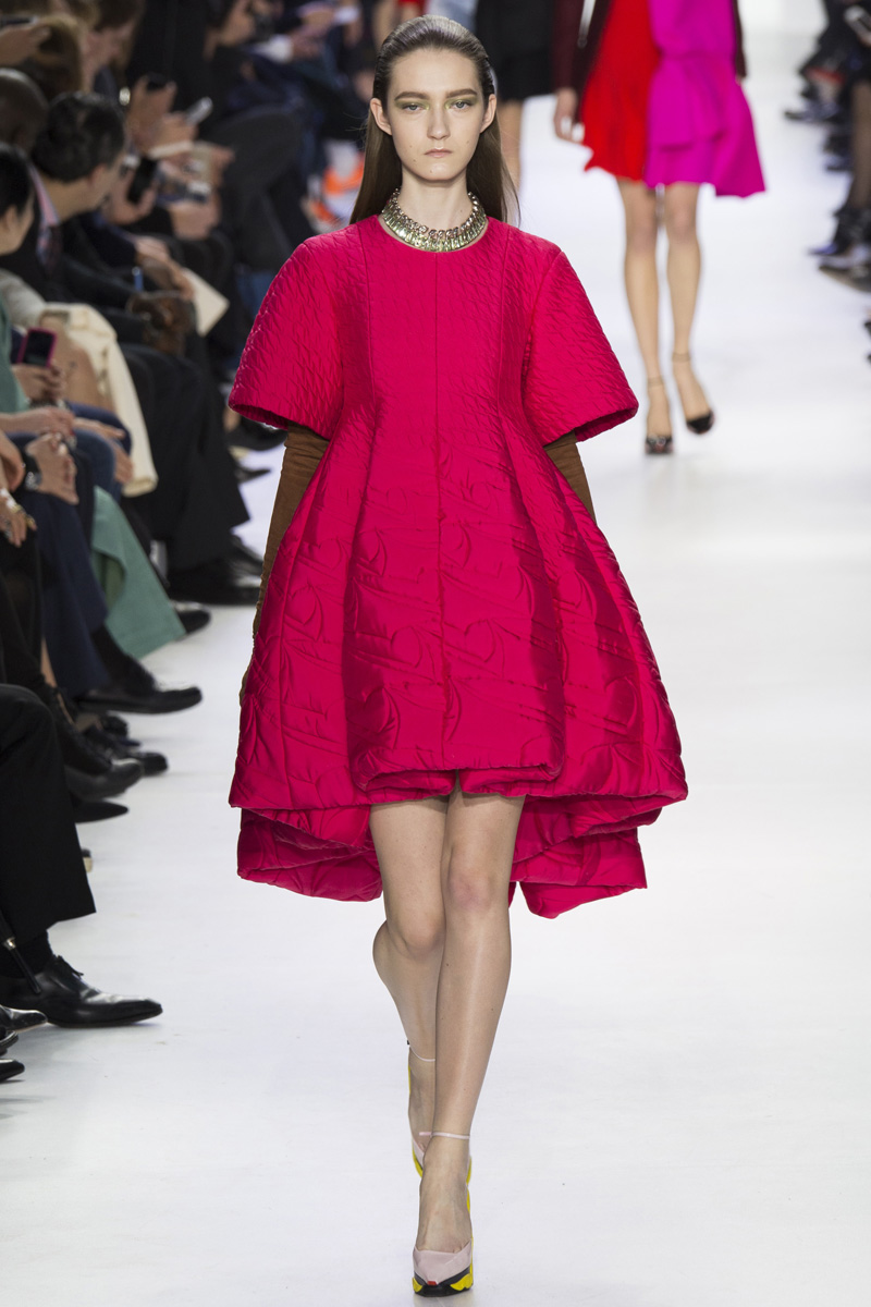 Christian Dior, Fall 2014 — Taryn Cox The Wife